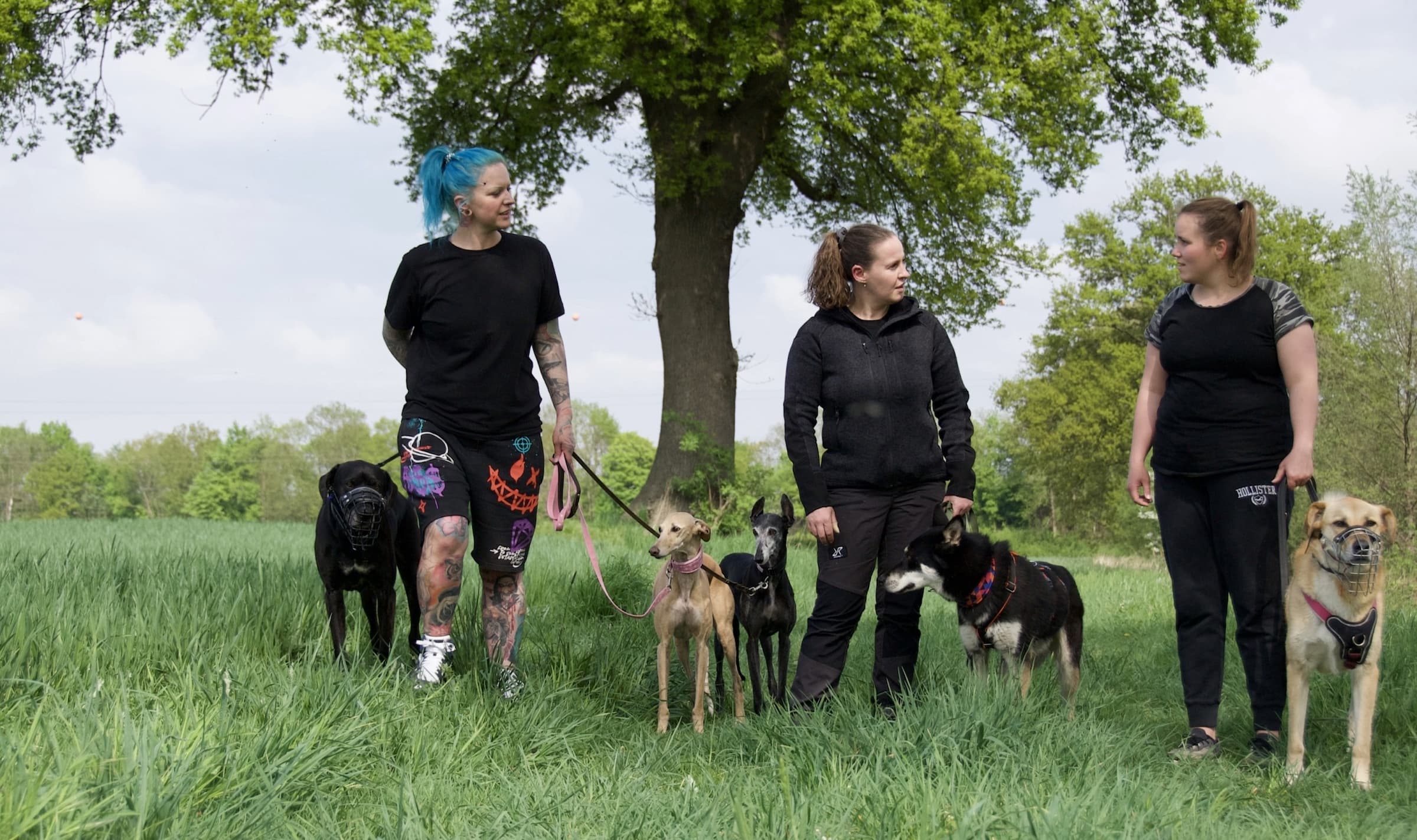 Social Walk - Spaziergang mit mehreren Hunden