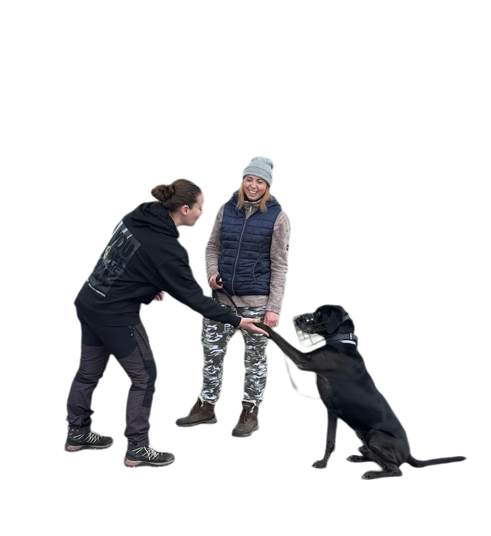 Hundetrainerin Kristina im Einzeltraining mit Tierschutzhund. Schwarzer Hund mit Maulkorb gibt Pfötchen.
