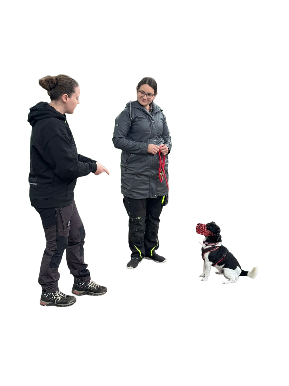 Erstgespräch mit Kundin mit einem Jack Russell mit rotem Maulkorb