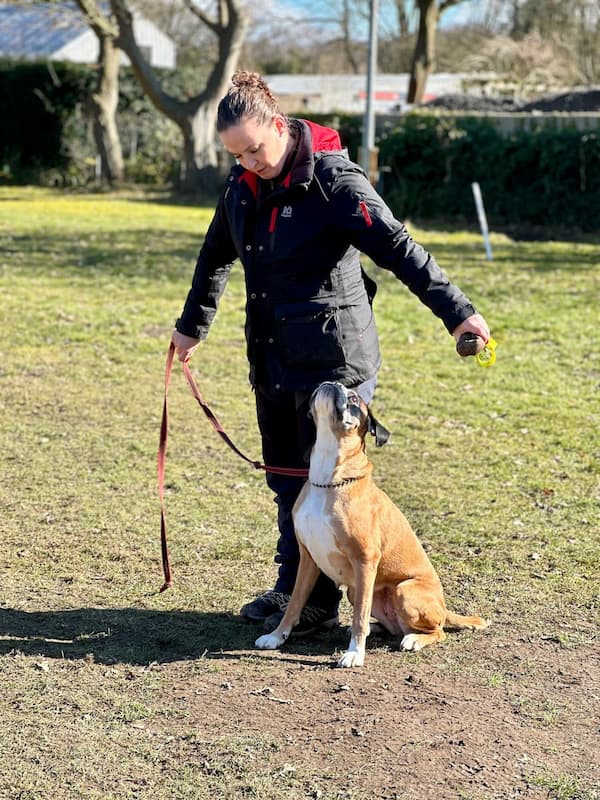 Hundetrainerin Kristina mit Boxerhündin beim Hundesport