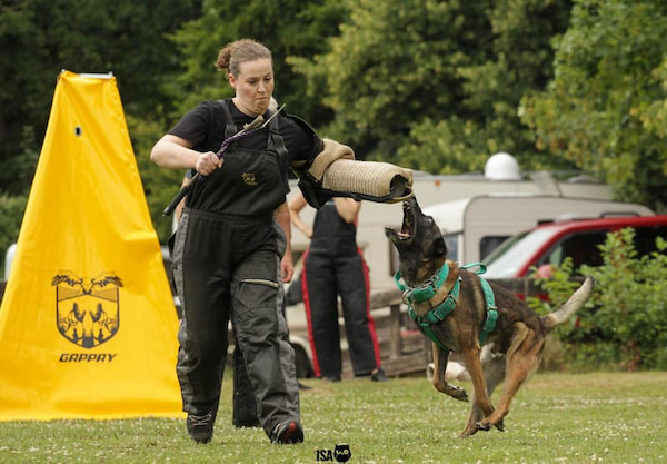 Über mich - Hundetrainerin Kristina beim Hundesport